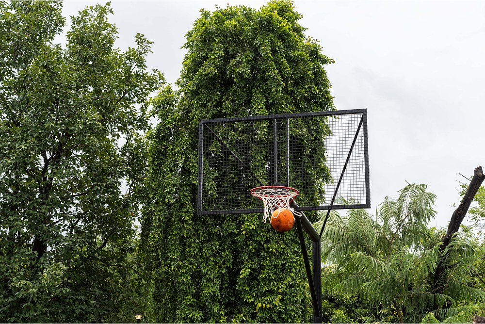 Greenwich Meridian 237